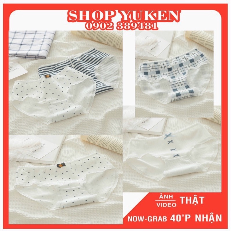 Combo 5 Quần lót học sinh, sinh viên, Quần lót nữ cotton dễ thương thoáng mát