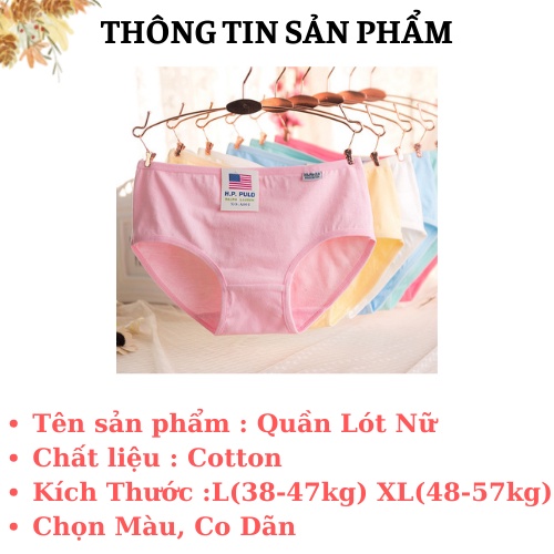 Quần Lót Nữ Cạp Vừa - Quần Lót Cotton Cao Cấp Không Cộm AMYBRA L1678