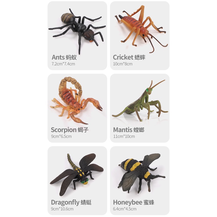 Đồ chơi mô hình côn trùng bò sát cho trẻ nhỏ