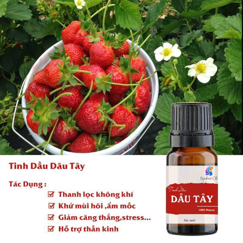 Combo Văn Phòng - Bộ 4 Chai Tinh Dầu Cafe,Dâu Tây,Cam Ngọt,Hoa Sen - Thơm Mát - Tỉnh Tảo - Tăng Năng Suất Làm Việc