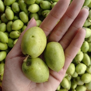 ✅ 1kg Cà Na Tươi chưa chế biến