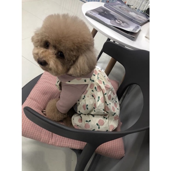 YẾM QUẦN HOẠ TIẾT TRÁI TÁO DỄ THƯƠNG CHO THÚ CƯNG