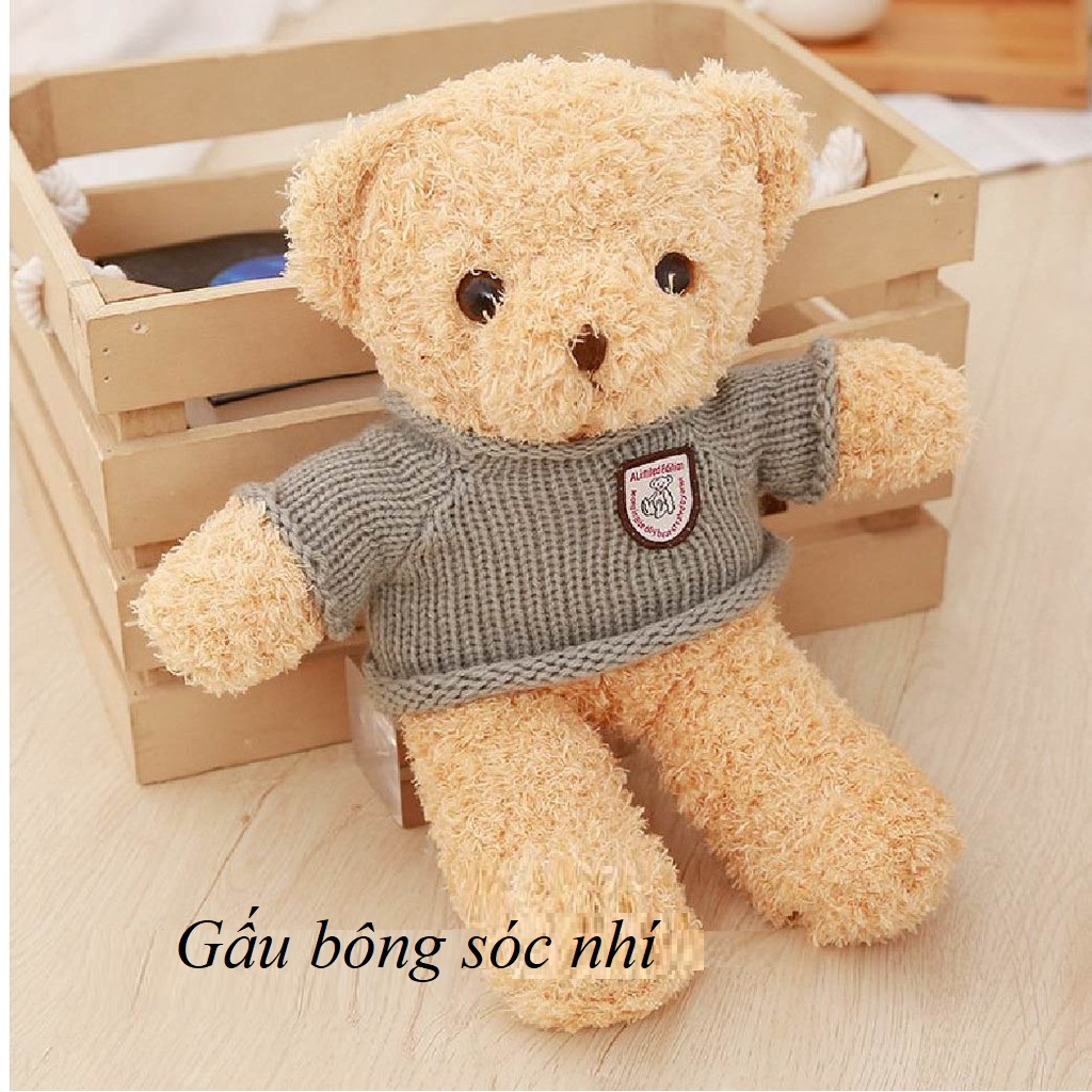 Gấu bông Teddy áo len cao cấp đồ chơi siêu xinh cho bé 💥 Tặng kèm đai kháng lực tập thể dục