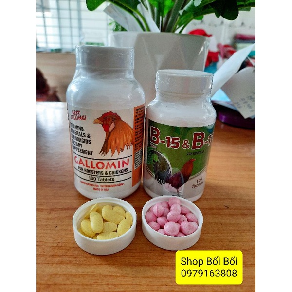 COMBO Gallomin + B15&B12 gà chế độ đá