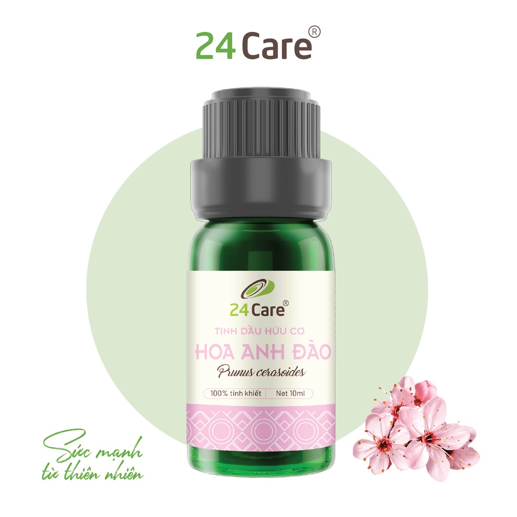 Tinh Dầu Hoa Anh Đào 24Care 10ml - Tinh Dầu Xông Phòng, Khử Mùi, Đuổi Muỗi
