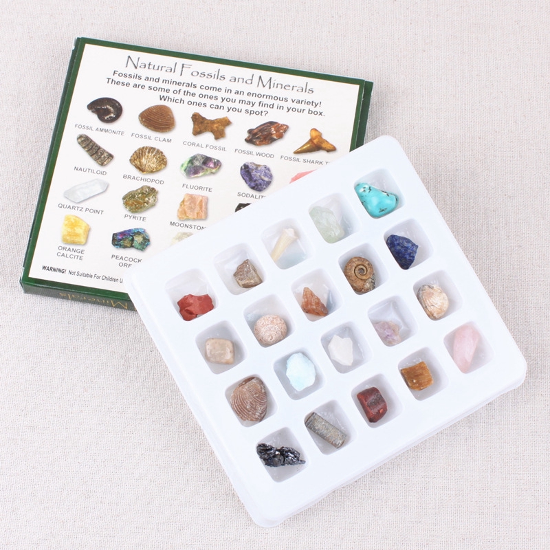 20pcs Mineral & Rock Samples Educational Geology Science Rock Collection Set