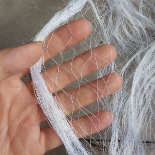 LƯỚI BẪY RẮN ( THÁI LAN)