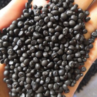 400 hạt giống măng tây