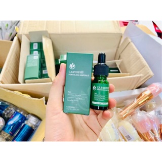 Serum caryophy portulaca ampoule full size 10ml - chính hãng