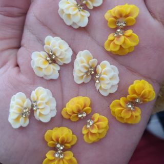 Hoa bột- cúc tầng