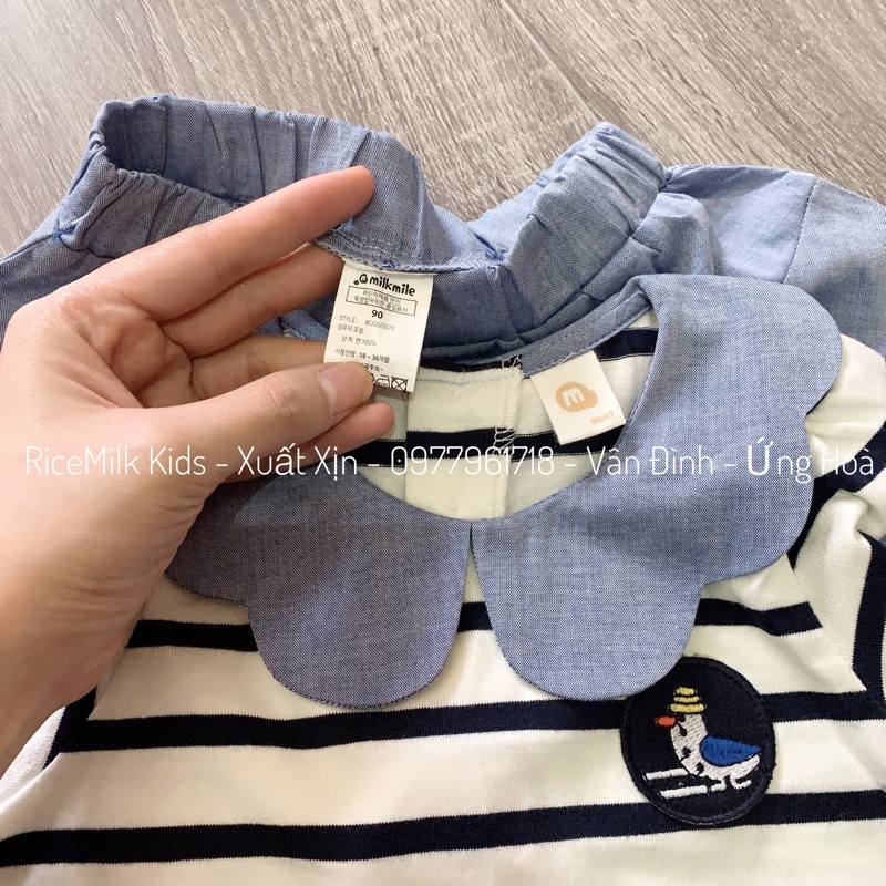 Bộ cộc hè áo kẻ cổ sen xuất Hàn