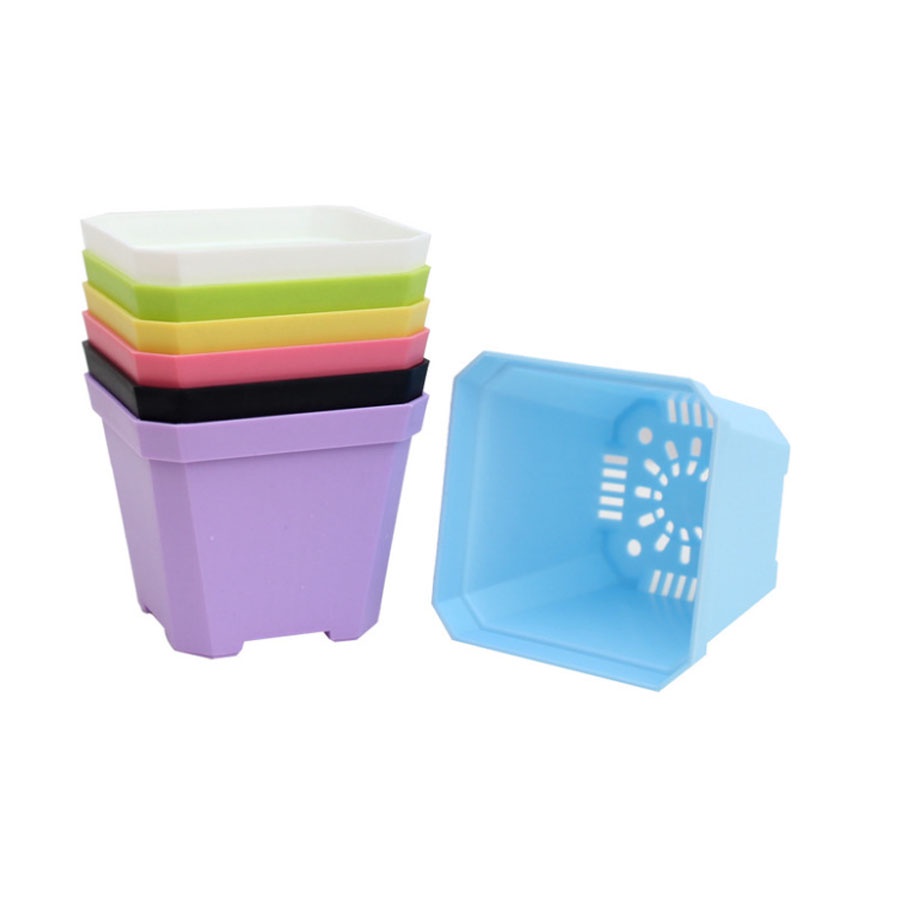 CHẬU TRỒNG SEN ĐÁ XƯƠNG RỒNG - KÍCH THƯỚC MIỆNG CHẬU 7CM x 7CM - nhiều màu - SET 10 - 50 CÁ