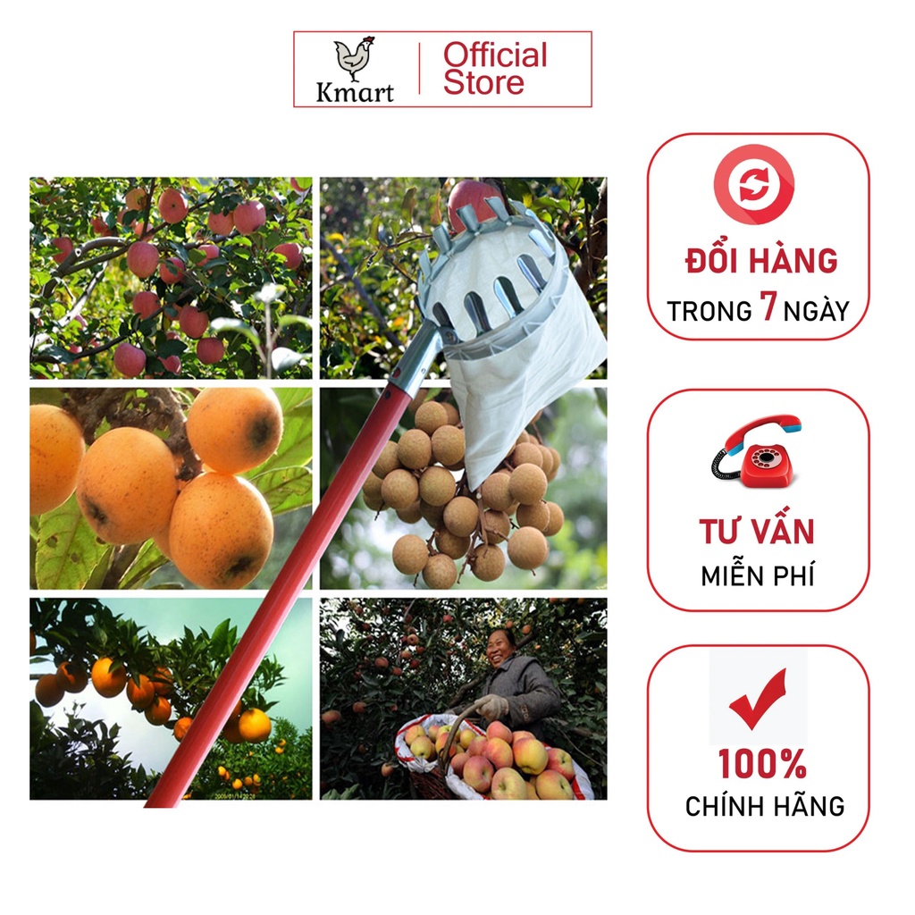 VV363-DỤNG CỤ HÁI TRÁI CÂY