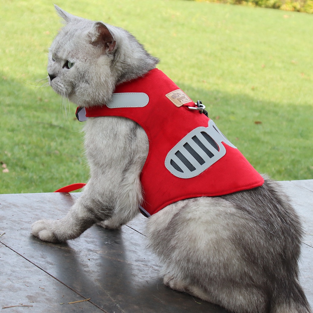 Pet Cát Harness Leash Set cho Samll Lớn Chó Mèo Kitten Phản Chiếu Ngoài Trời Sang Trọng Lưới Nhỏ Dog Cat Leash Harness bộ Mèo Phụ Kiện