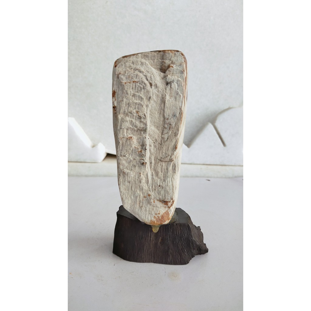 Gỗ Hóa Thạch 100% tự nhiên-Giá gốc tại xưởng-Mã Số: HT9 -KL: 0.5kg -Cao: 17cm -Rộng: 8cm