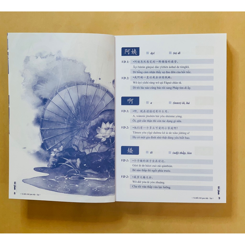 Sách - Từ điển HSK giao tiếp tập 2  phiên bản đặc biệt 2019 - Có audio nghe tiếng Trung