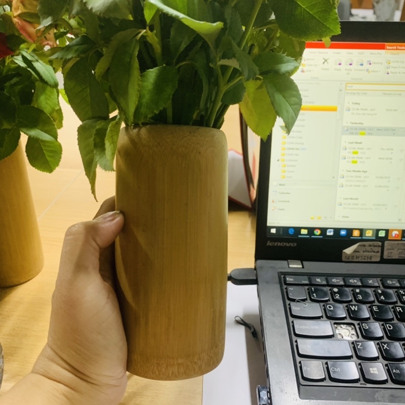 Ly , cốc uống nước, đựng nước - Ly 100% từ ống tre Việt Nam-  Giá tận xưởng