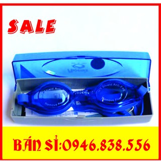 Kính bơi hàn quốc phoenix 203 + tặng hộp đựng cao cấp