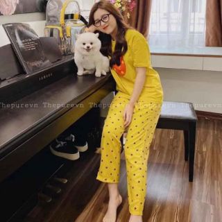 Bộ mặc nhà dâu tây