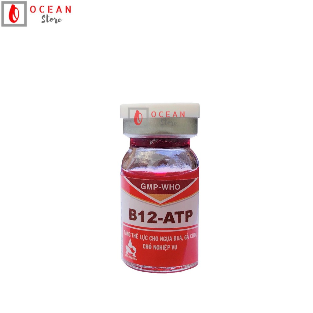 (Hộp 10 lọ) B12 ATP cho gà đá