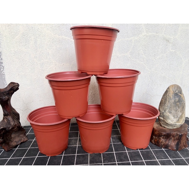 sỉ 10 chậu nhựa nâu trồng sen đá cây hoa giống đk 12x10cm