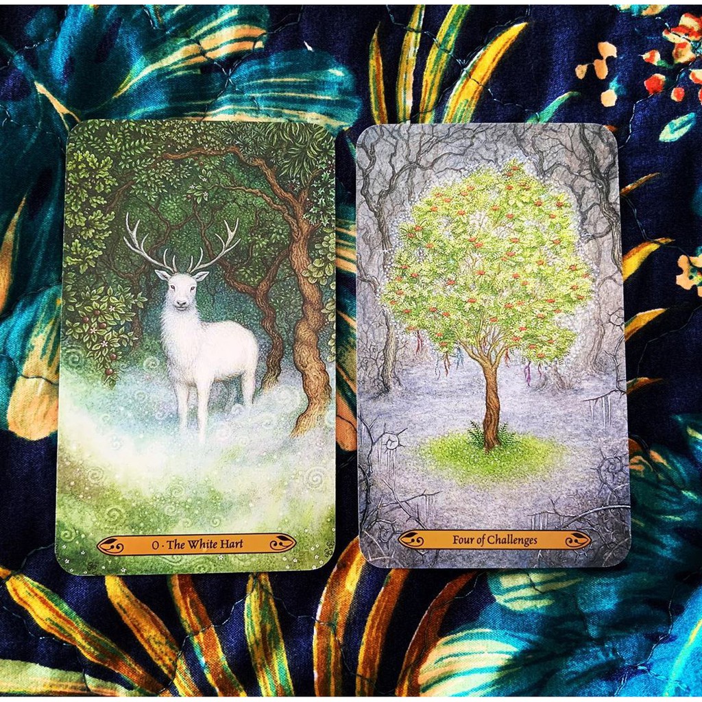 Bộ Bài Forest of Enchantment Tarot (Mystic House Tarot Shop)