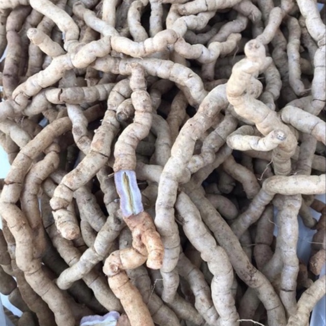 1kg Ba kích nguyên củ hàng việt nam loại 1