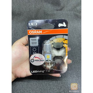 BÓNG LED OSRAM M5 CHÍNH HÃNG