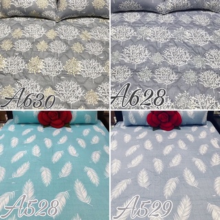 [SALE]Set 4 món drap gối cotton Thắng Lợi