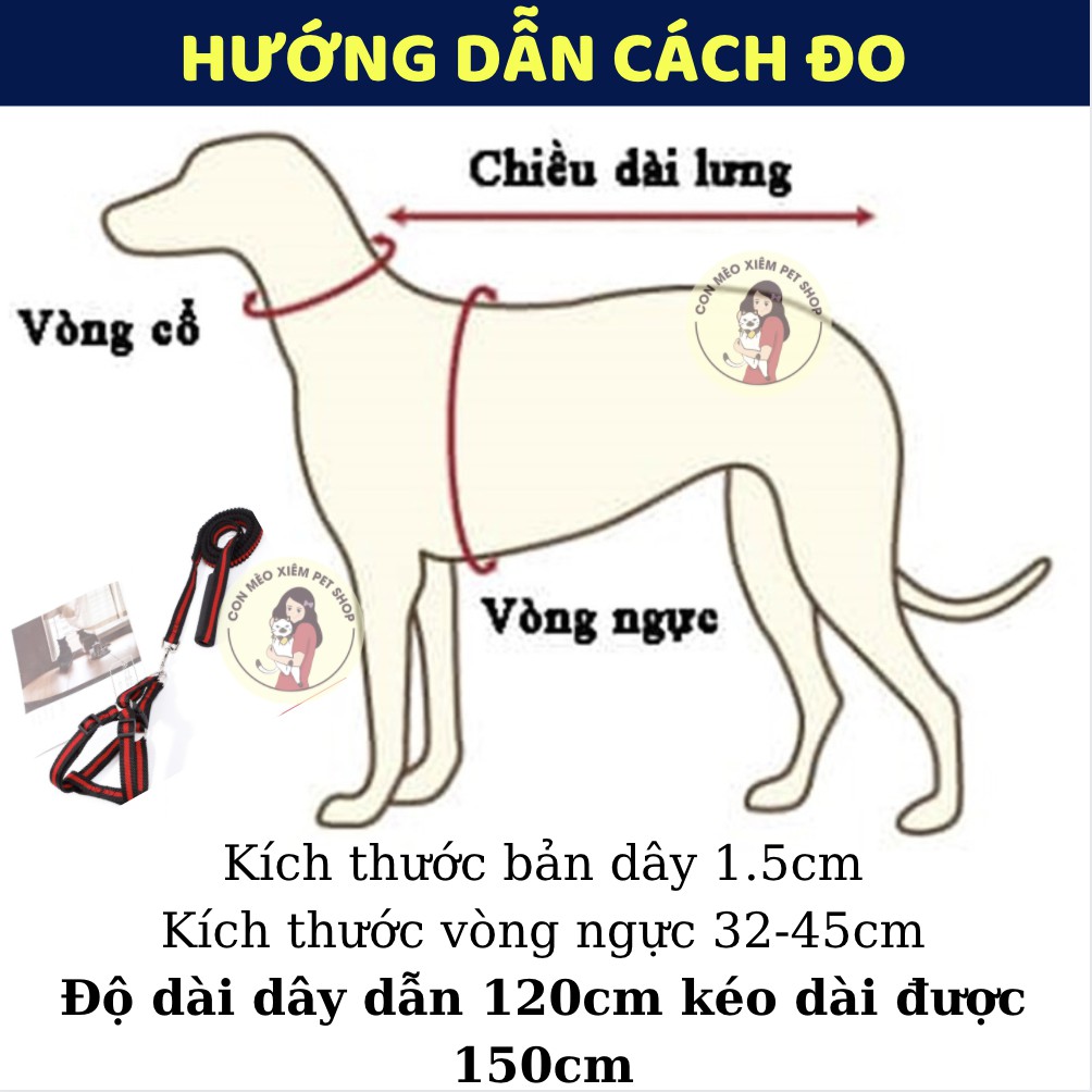 Dây dắt chó mèo lớn dây dẫn lò xo dài 150cm 1,5cm phụ kiện cho thú cưng dẫn đi Con Mèo Xiêm