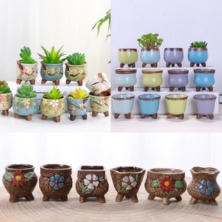 Chậu sứ mini trồng cây