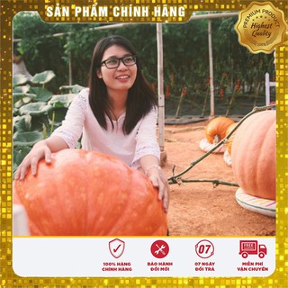 Hạt Giống Bí Ngô Khổng Lồ-5 hạt