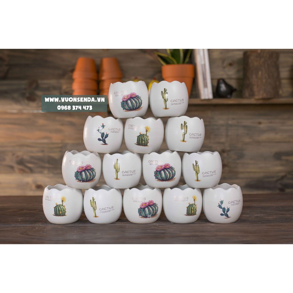 Chậu sứ hình trứng mini 7.5x8cm - In hình