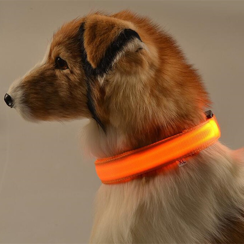 Vòng Cổ Phát Sáng Cho Chó