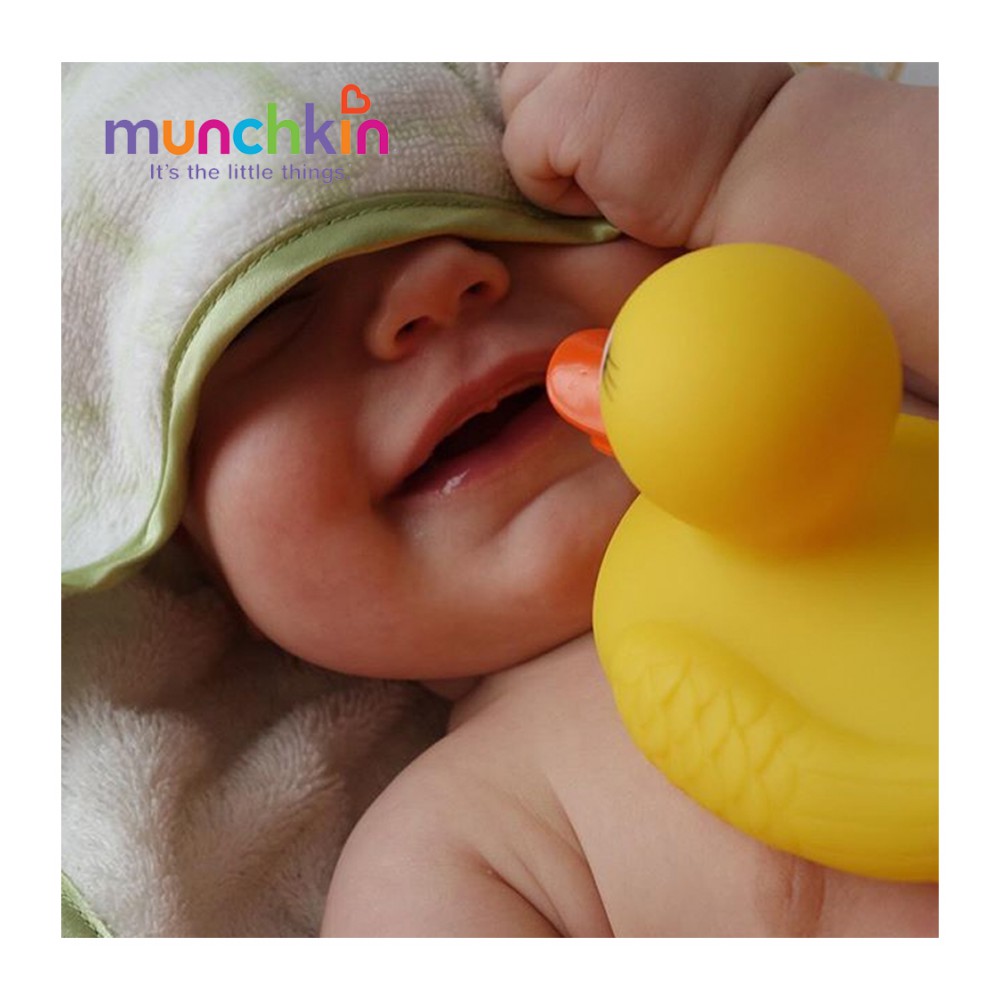 Vịt vàng báo nóng Munchkin cảm biến báo nóng