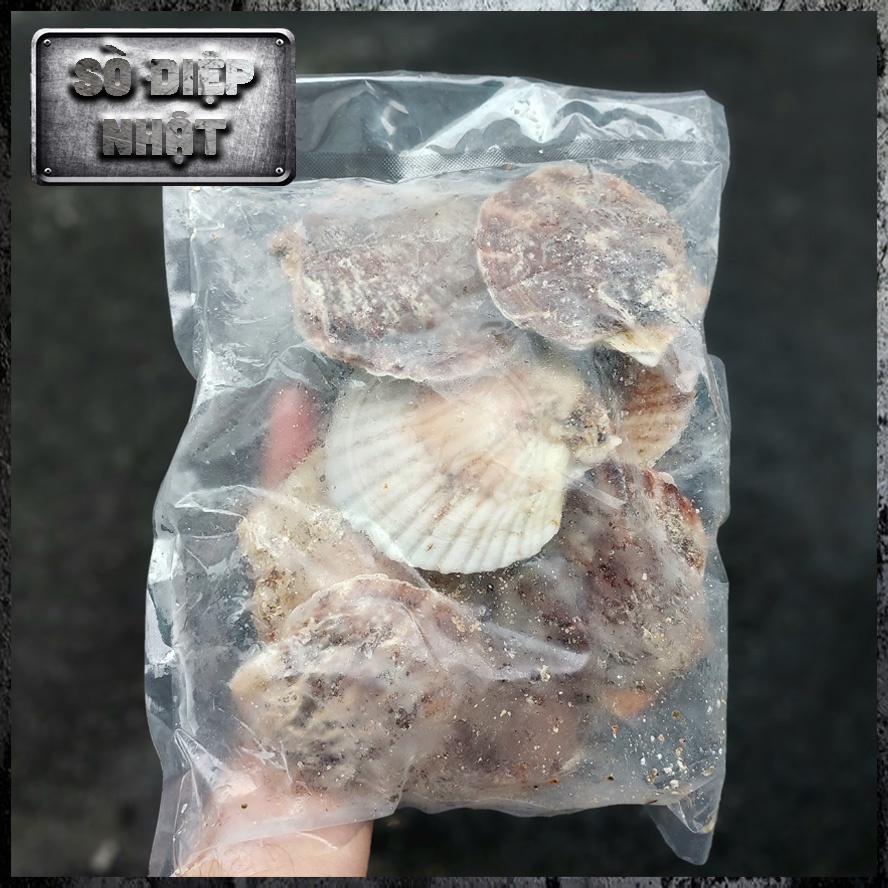 Sò điệp Nhật - 1kg | Win Meat Sài Gòn