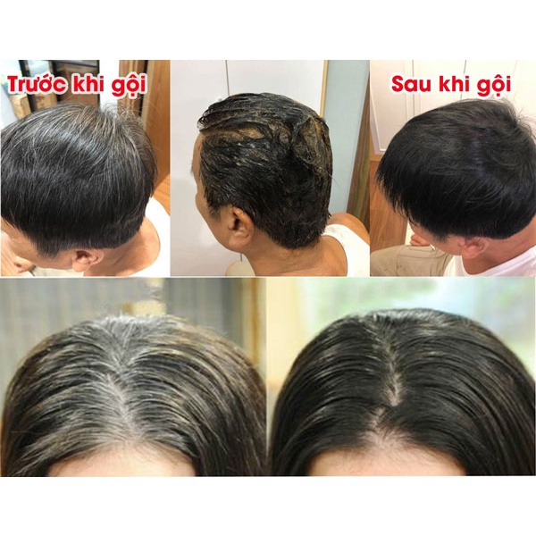 Dầu gội nhuộm tóc phủ bạc màu đen và nâu đẹp phủ bạc 100% không dính da đầu - BIBOP