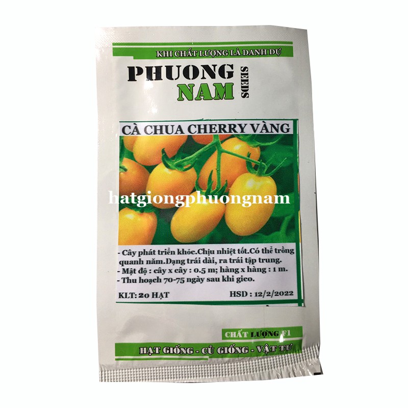 10H - HẠT GIỐNG CÀ CHUA CHERRY VÀNG