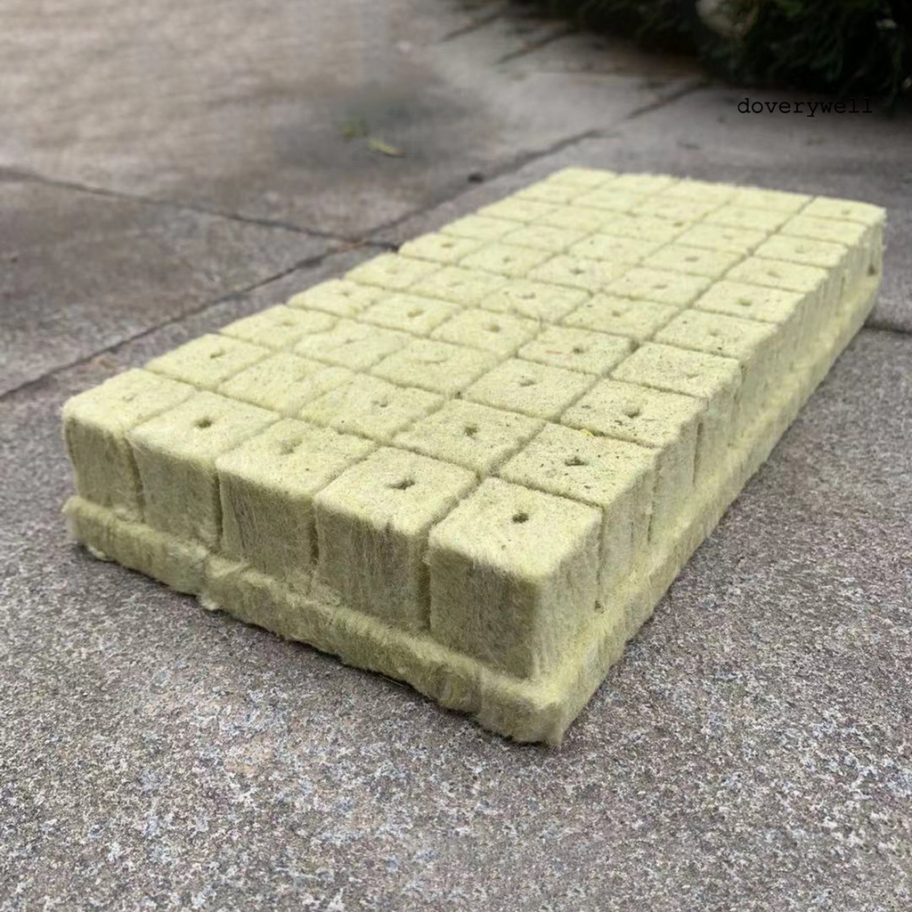 50 Khối Lập Phương Kích Thích Sự Phát Triển Của Thực Vật