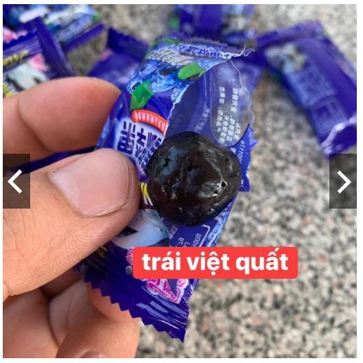 Ô Mai Việt Quất / Cherry / Mận Sấy Khô 408