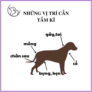 NOVERA + diệt ve, bọ chét 1 năm