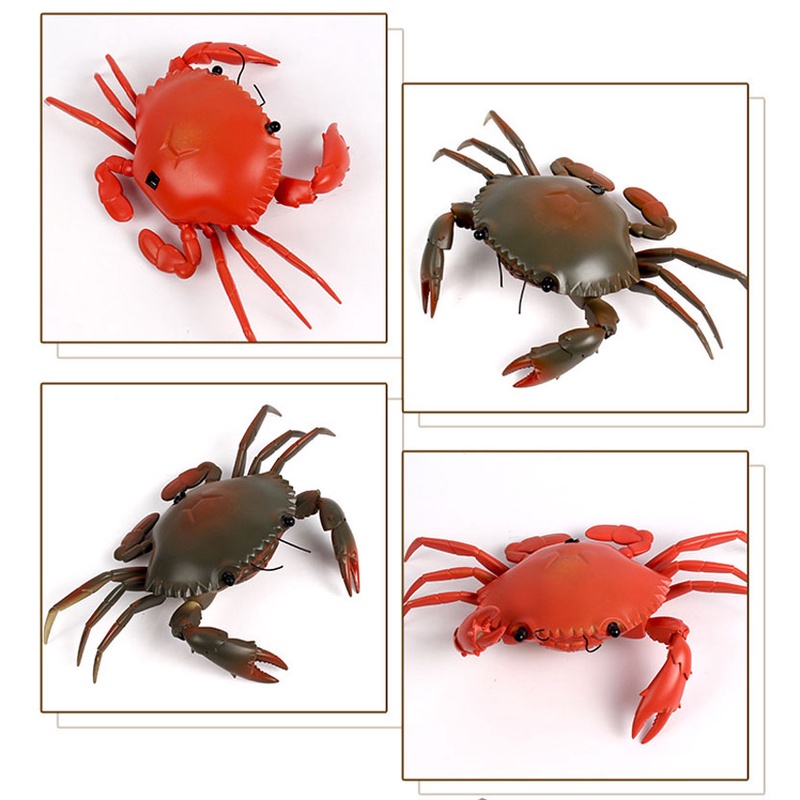 Mô Hình Cua Đồ Chơi Điều Khiển Từ Xa Sáng Tạo lzdxwcke2