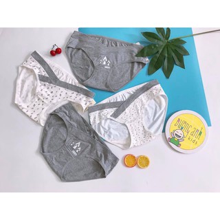 Set 4 quần lót bầu
