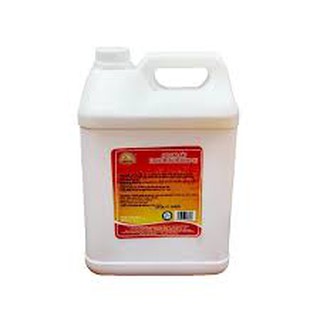 Bơ dạng dầu báo châu mỹ xô 5 lít