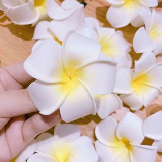 Cài tóc Hoa Sứ