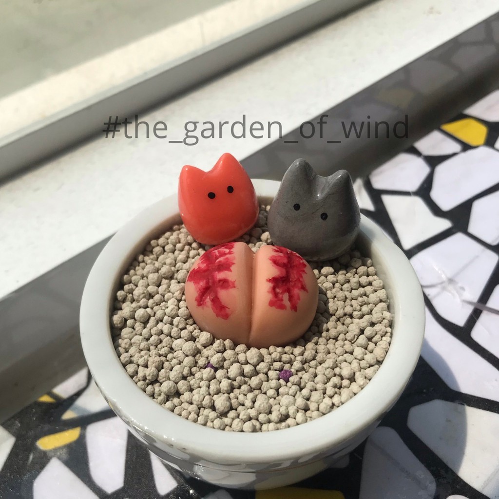 10 Mèo mini trang trí sen đá, xương rồng, tiểu cảnh, terrarium - TheGardenOfWind