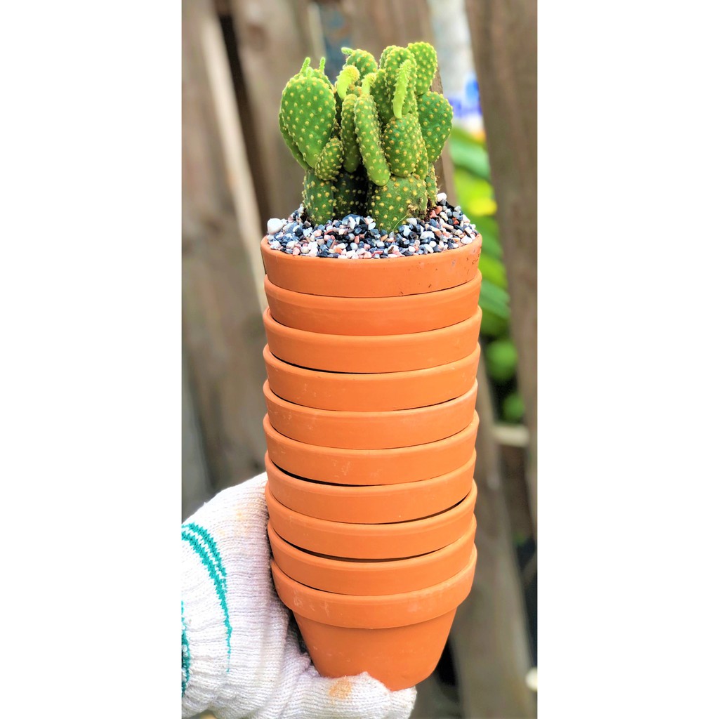 Bộ 10 chậu đất nung trồng xương rồng sen đá Rộng 11 cm x Cao 7 cm