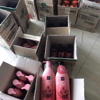 Dầu gội xả Misence Hàn Quốc siêu thích