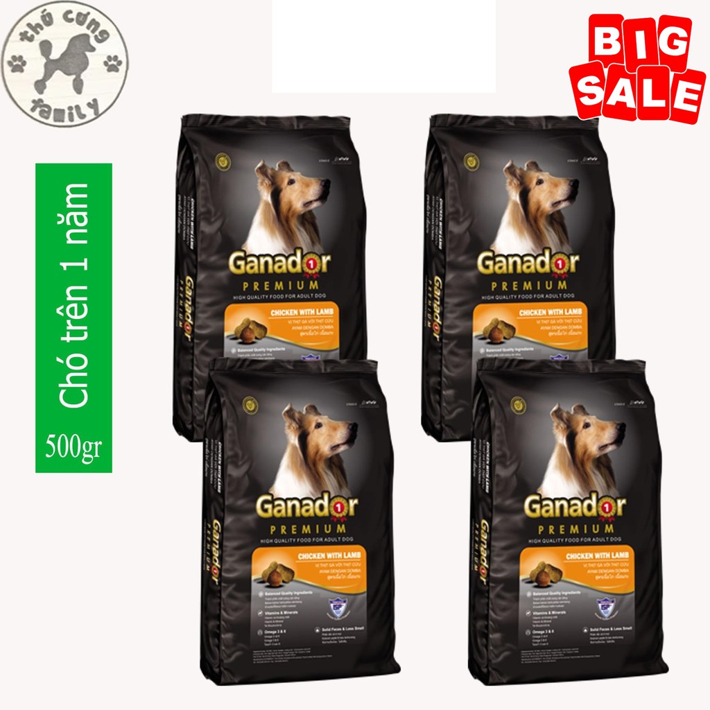 Combo 4 túi GANADOR ADULT - Thức ăn hạt dành cho chó trưởng thành - 400gram/túi - FAMILY PETS