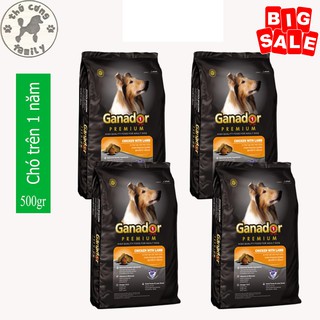 Combo 4 túi GANADOR ADULT - Thức ăn hạt dành cho chó trưởng thành - 400gram/túi - FAMILY PETS